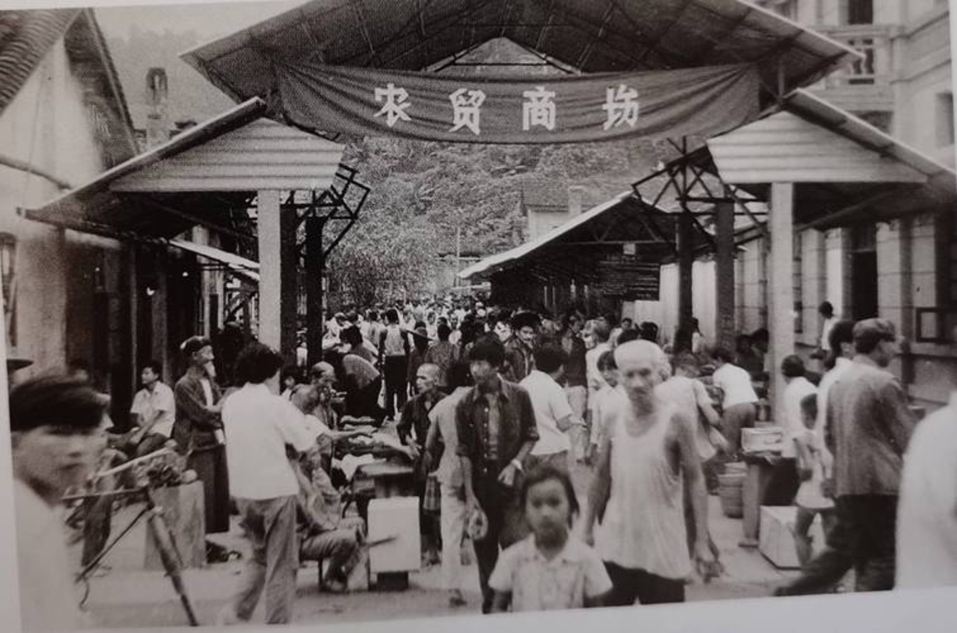 瓦峰国际贸易